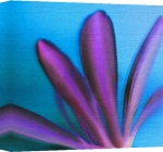 Erin Rafferty art print - Purple Petals poster
