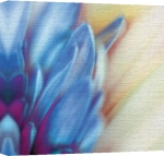 Erin Rafferty art print - Purple Velvet poster