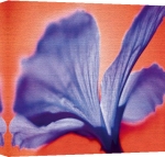 Erin Rafferty art print - Purple melt poster