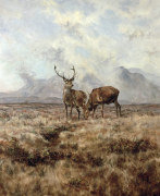 Tim Scott Bolton art print