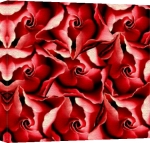Erin Rafferty art print - Red Velvet poster