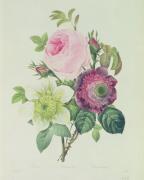 Pierre Joseph Celestin Redout� art print