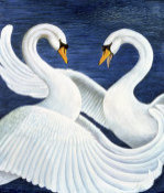 Liz Wright art print