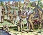 Jacques de Morgues Le Moyne art print