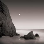 David Fokos art print