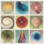 Mertens art print