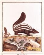 French School art print