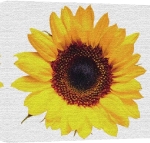 Erin Rafferty art print - Smile! poster