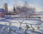 Snow Geese, Winter Morning art print