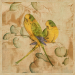John Butler art print