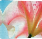 Erin Rafferty art print - Spring Blossoms poster