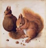 Albrecht Durer art print