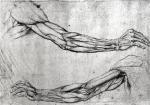 Leonardo da Vinci art print