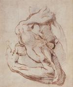Michelangelo art print