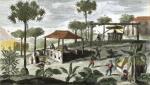French School art print