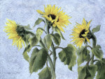 Cristiana Angelini art print