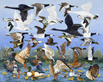 Pat Scott art print