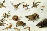 Jan van Kessel art print