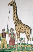 French School art print