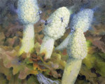 Glyn Morgan art print