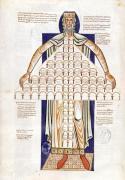 French School art print
