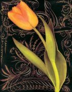 Sally Wetherby art print