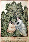 Italian School art print