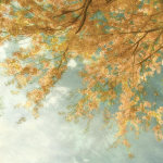Donna Geissler art print