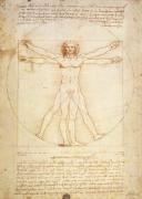 Leonardo da Vinci art print