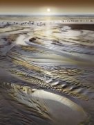 William Vanscoy art print
