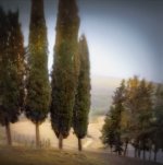 William Vanscoy art print