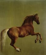 George Stubbs art print