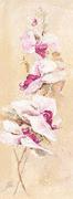 Elizabeth Espin art print