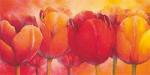 Alicia Sloan art print