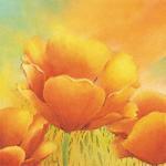 Alicia Sloan art print