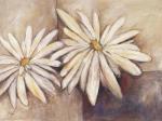 Dagmar Zupan art print