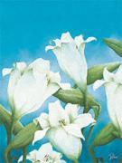 Alicia Sloan art print