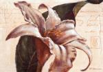 Paula Reed art print