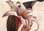 Paula Reed art print
