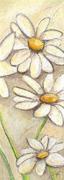 Dagmar Zupan art print