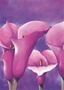 Alicia Sloan art print