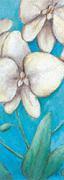Dagmar Zupan art print