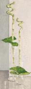 Ina Van Toor art print