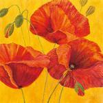 Raimund Roth art print