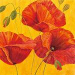 Raimund Roth art print