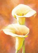 Alicia Sloan art print