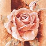 Gabor Barthez art print