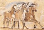 Talantbek Chekirov art print