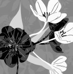 Kate Knight art print