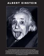Mini Posters art print